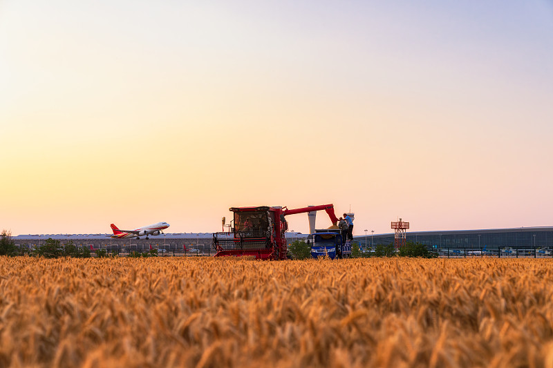 上海到日本宇都宫市(Utsunomiya)铁路联运城市专线