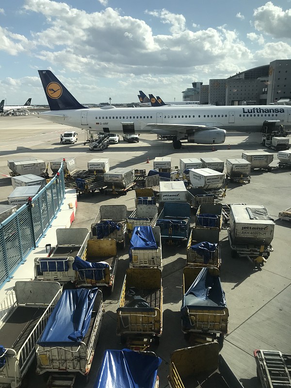 沈阳至日本静冈市(Shizuoka)整柜空运城市专线
