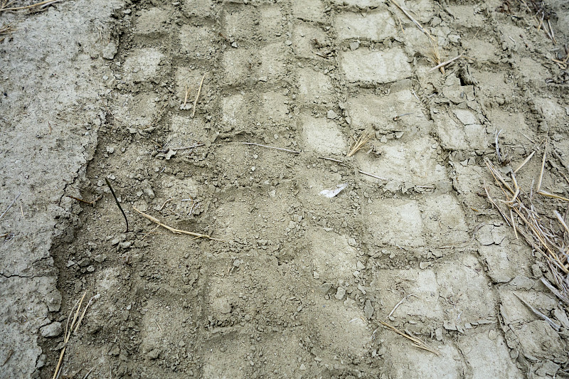 中国上海日本八王子市(Hachioji)整柜空运专线