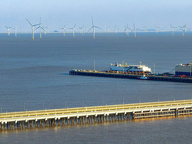 经过广州将活体动物邮寄到日本静冈市(Shizuoka) 经过广州将活体动物邮寄到日本静冈市(Shizuoka)