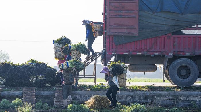 租赁沈阳4100平方米大小跨境仓库 租赁沈阳4100平方米大小跨境仓库