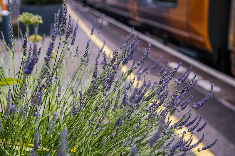 经过成都发胶邮寄到马来西亚居銮(Kluang)