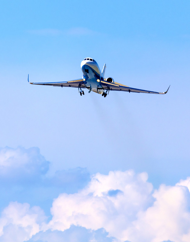 经由重庆将多肉植物寄到马来