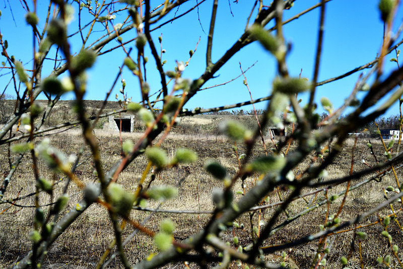基于杭州把冰鲜食品寄到马来根地咬(Keningau)