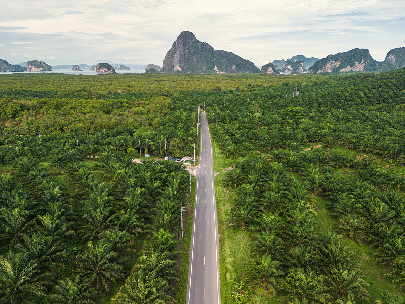 通过中国香港把贺卡邮寄到马来麻坡(Muar) 通过中国香港把贺卡邮寄到马来麻坡(Muar)