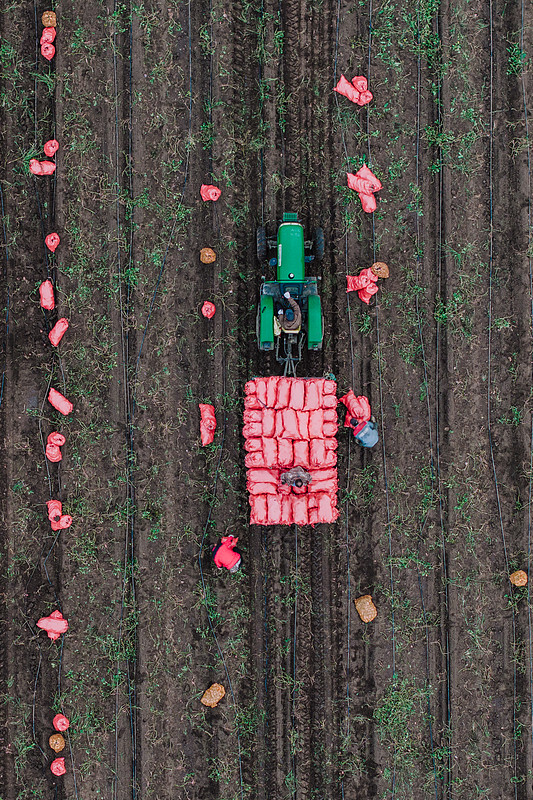 通过深圳将鞋子邮寄到马来怡保(Ipoh)