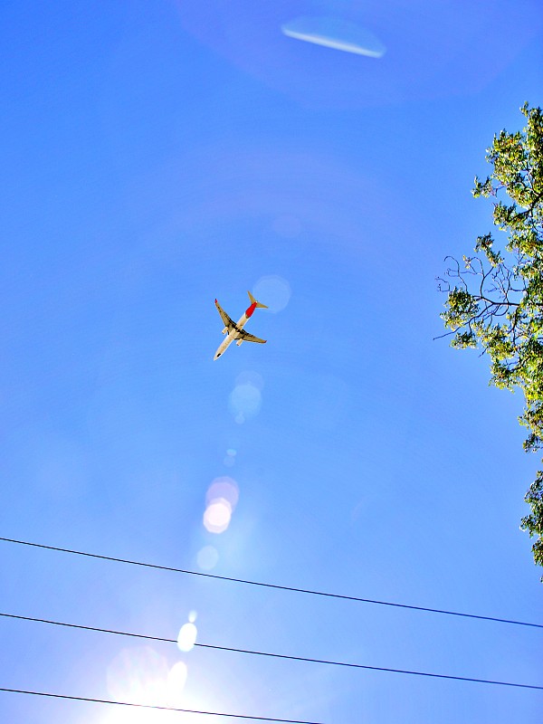 中国石家庄空运到运输马来梳邦再也(Subang Jaya)货运代理