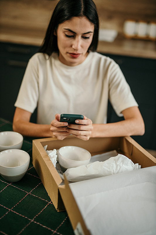 中国深圳海运服务到抵马来八打灵再也(Petaling Jaya)速送