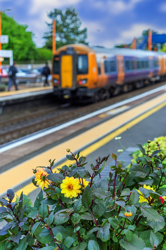 基于中国厦门把海产品寄到马来吉隆坡(Kuala Lumpur)