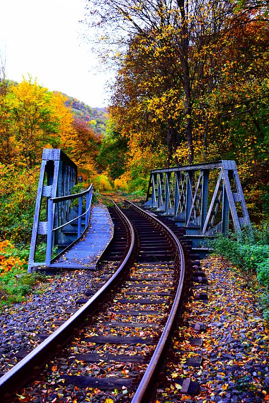 从中国厦门把收藏品寄到马来西亚怡保(Ipoh)