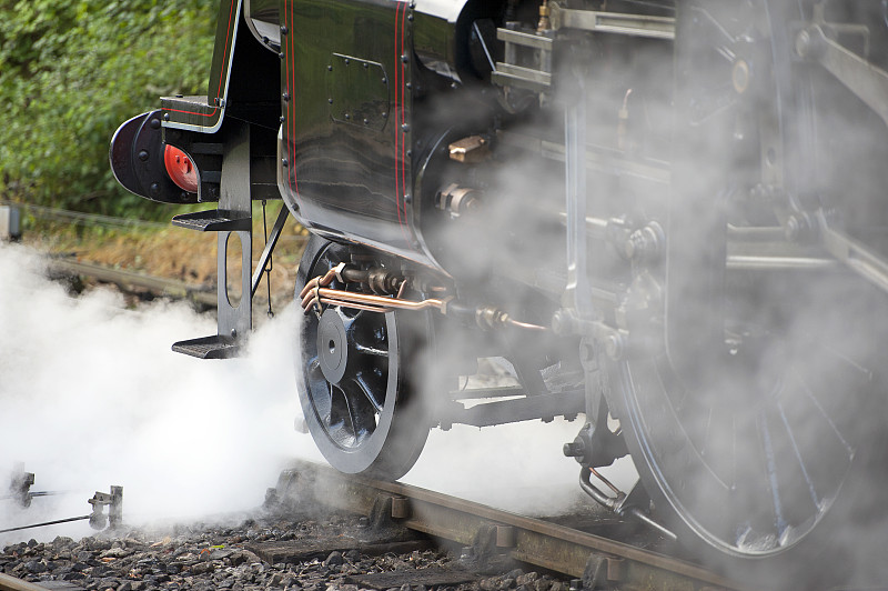 经过中国昆明杨梅苗寄到马来吧巴(Pap ar)