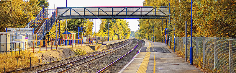 从上海把膏药邮寄到美国檀香山