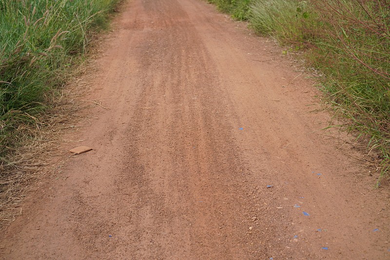 从中国东莞把中药寄到美国奥马哈
