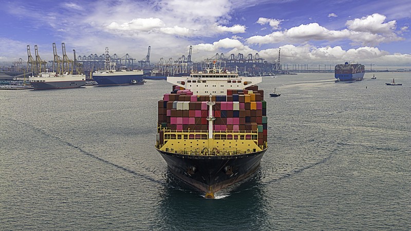 通过中国上海杨梅寄到美国塔科马