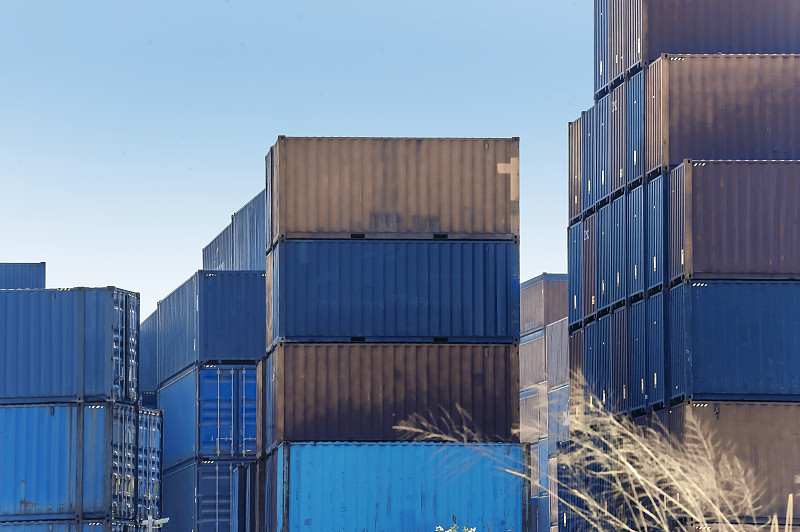 货品蓝莓干从中国上海选用轮船配送到美国印第安纳波利斯