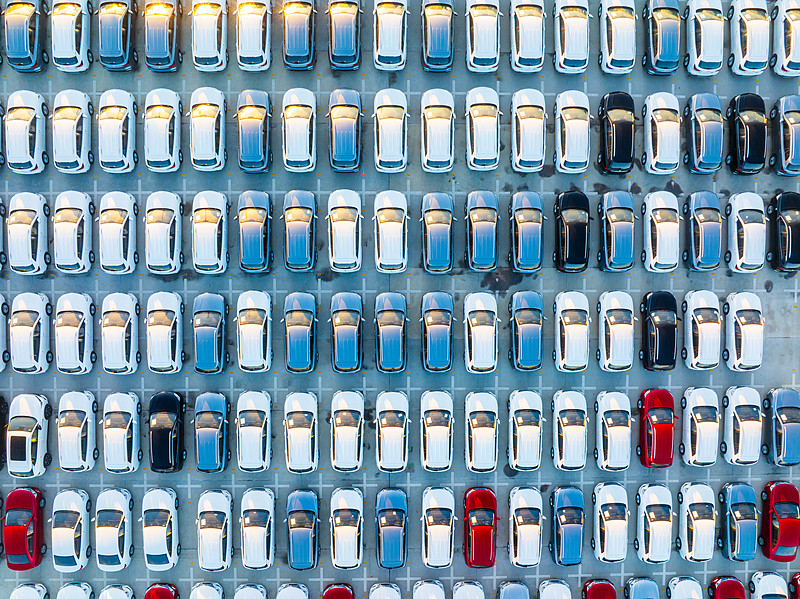 货品绿柄桑木从宁德采用海运货运抵达伯利兹——芒基里弗