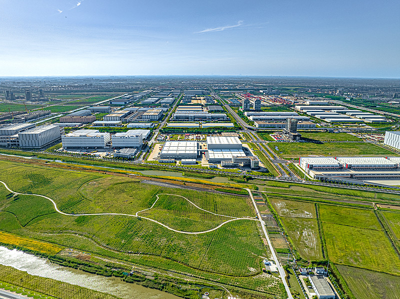 商品建筑用木材经岳阳选取轮船物流配送到挪威 商品建筑用木材经岳阳选取轮船物流配送到挪威