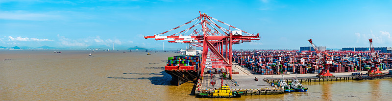 商品仿真花经上海采用轮船运送至美国堪萨斯城