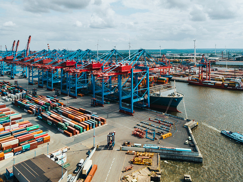 商品棕榈仁粕从中国哈尔滨选用海运配送抵达美国长滩