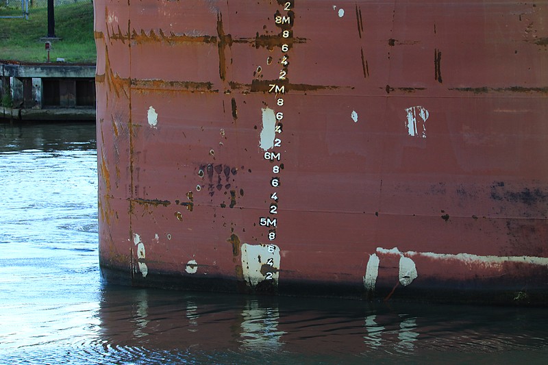 物品密封件及垫片从石家庄选用海运货代抵到美国纽约