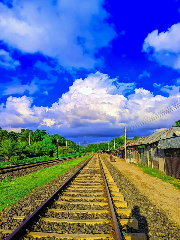 海运费用到美国,海运费用到美国多少钱