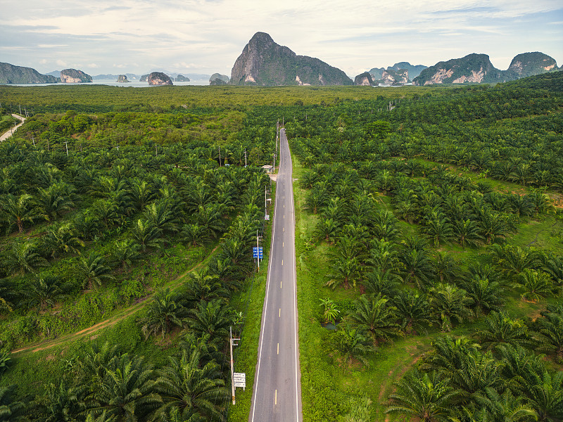 广州到美国海运费用,广州到美国海运费用多少