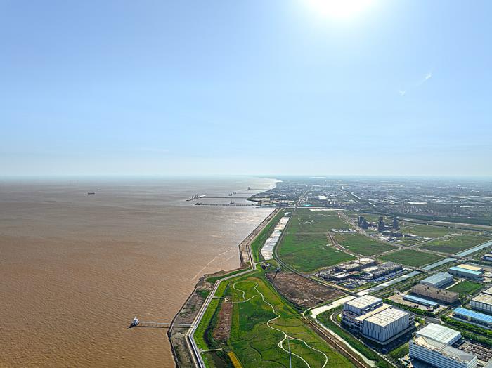 美国海关查验多久才放行