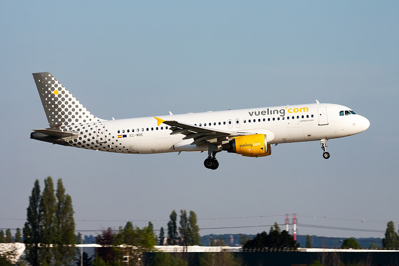 货品活植物从中国南宁采纳飞机送货抵到美国克利夫兰