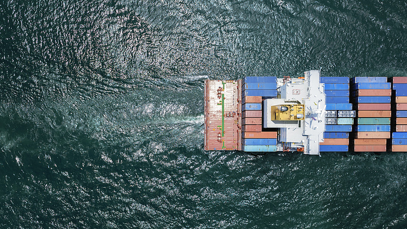 商品山毛榉经天津采纳轮船配送到达摩洛哥 商品山毛榉经天津采纳轮船配送到达摩洛哥