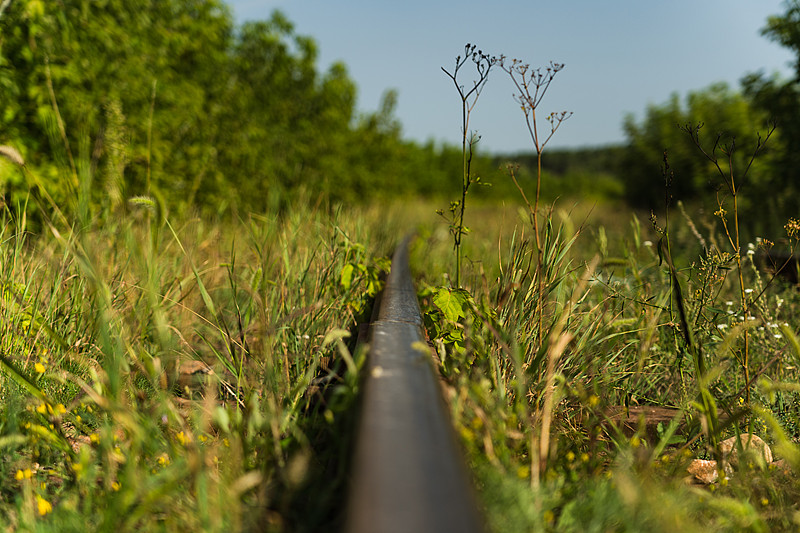 货品窗帘/窗纱/百叶窗经中国重庆采用飞机运输到达美国罗利