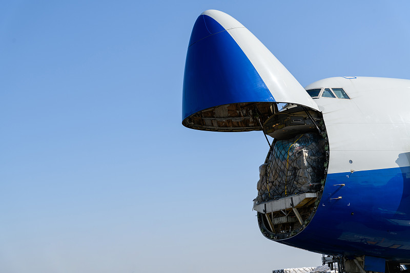 基于深圳冬虫夏草寄到加拿大