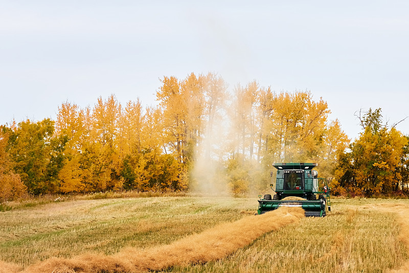 上海到加拿大高贵林送货到家快速专线