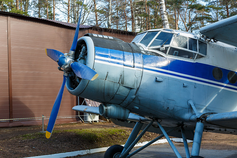 上海加拿大金斯顿整柜海运专线