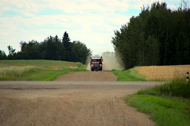 经过中国长沙杨梅苗邮寄到加拿大维多利亚