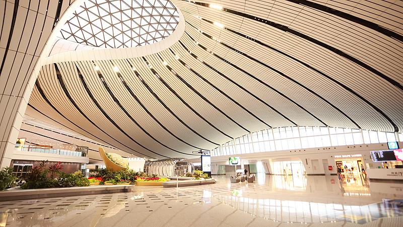 从哈尔滨把观赏鱼邮寄到加拿大滑铁卢