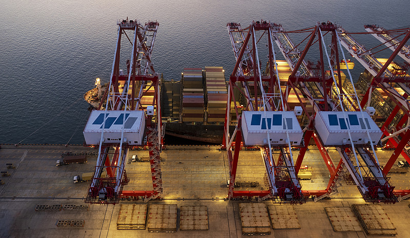 经过东莞将猫邮寄到加拿大渥太华