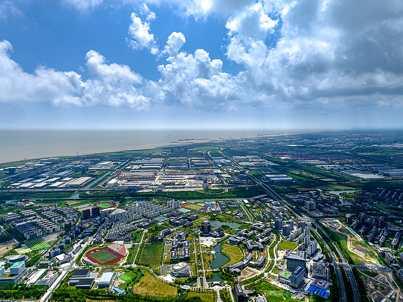 从东莞将杨梅苗邮寄到加拿大布兰普顿