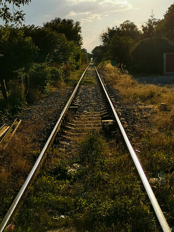 深圳抵加拿大渥太华双清包税城市专线