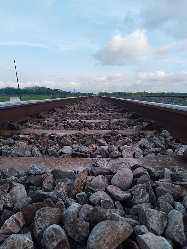 通过沈阳中药颗粒寄到加拿大奥沙瓦