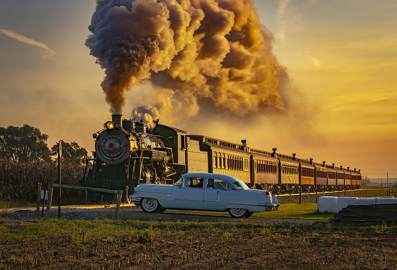 经过济南把虫草邮寄到加拿大新威斯敏斯特