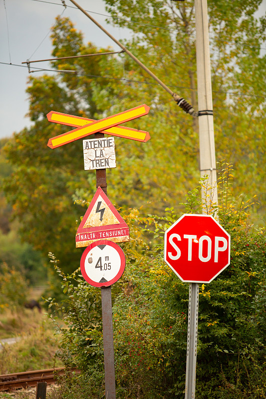 加拿大港将投入215亿美元进行基础设施建设（国际海运新闻资讯）