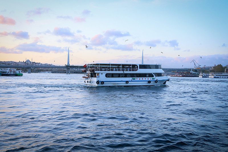 温哥华海运门到门