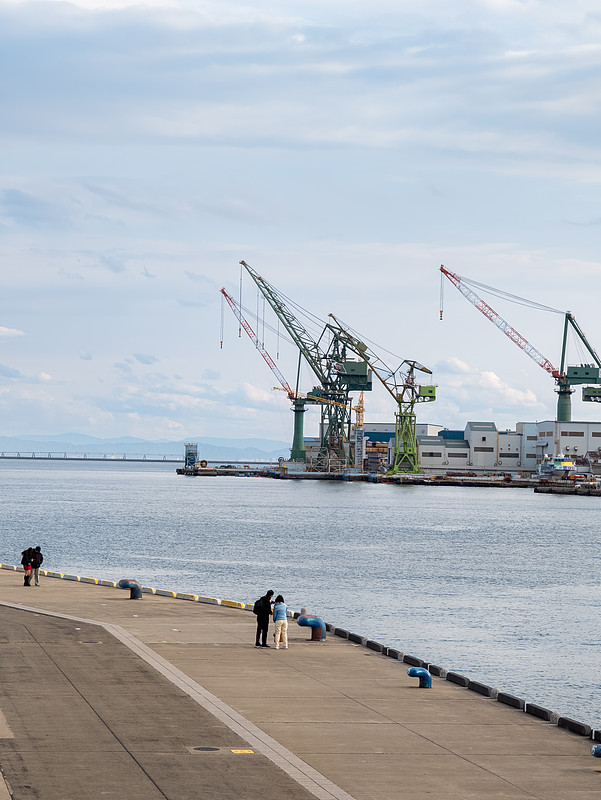 宁波市由铁运到送到德国——维利希跨国国外贸易物流速递讲解