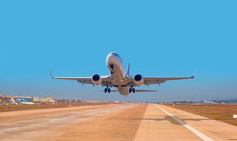 经过东莞将活体动物寄到新加坡 经过东莞将活体动物寄到新加坡