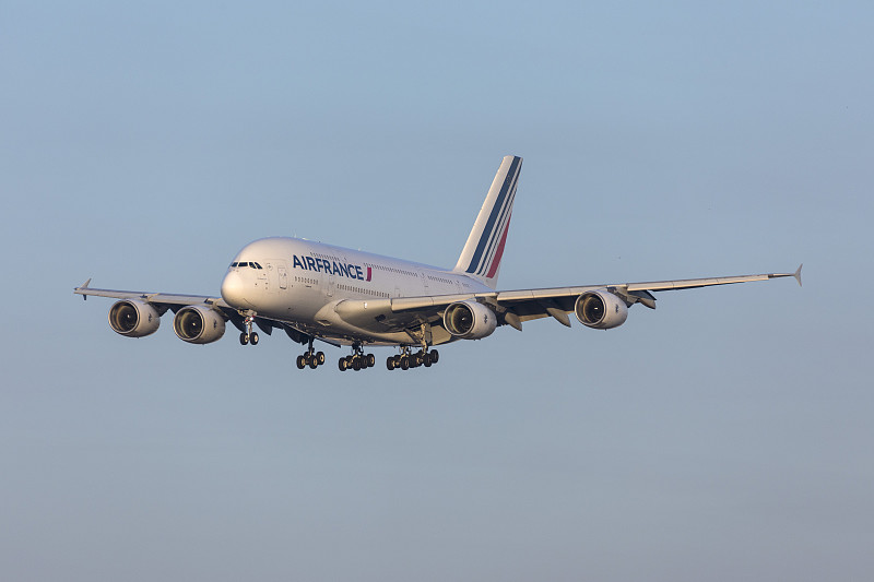 基于香港将袋鼠蛋邮寄到新加坡