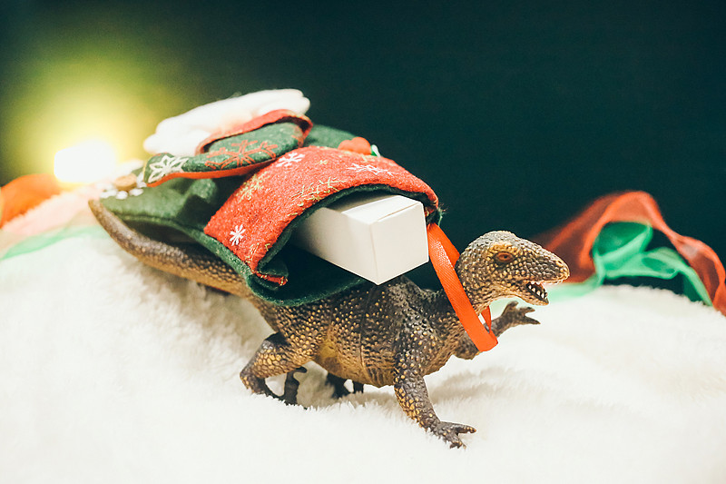 基于上海把粉末邮寄到新加坡