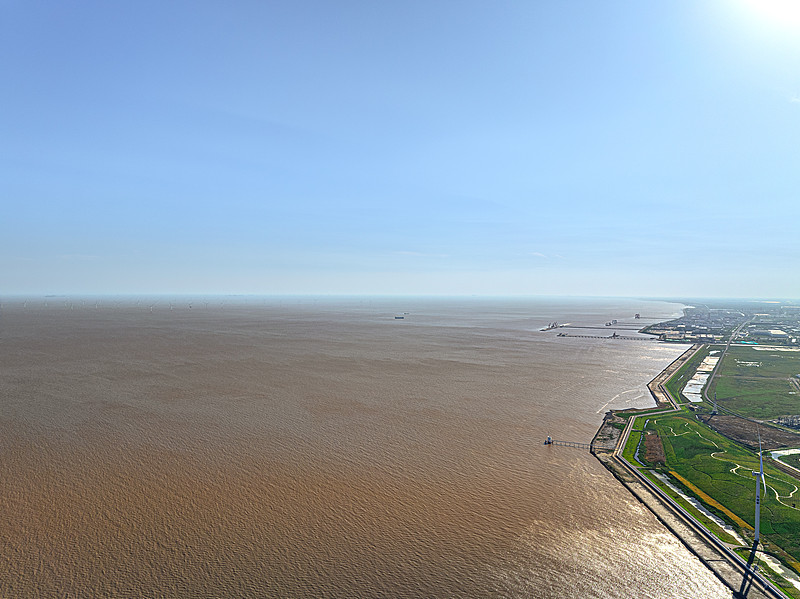 基于中国成都将猫粮寄到英国桑德兰