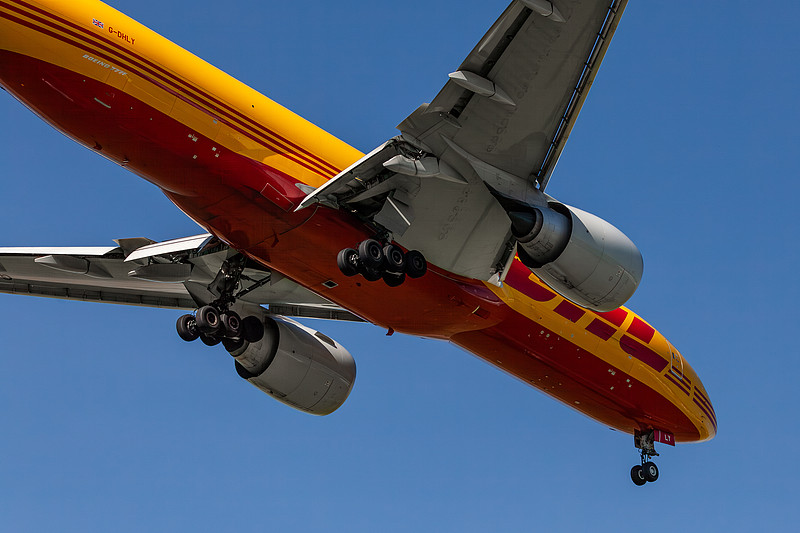 经由中国深圳宠物食品寄到新加坡