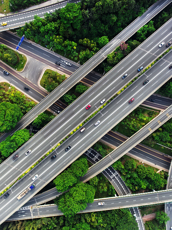 通过中国深圳果苗邮寄到新加坡