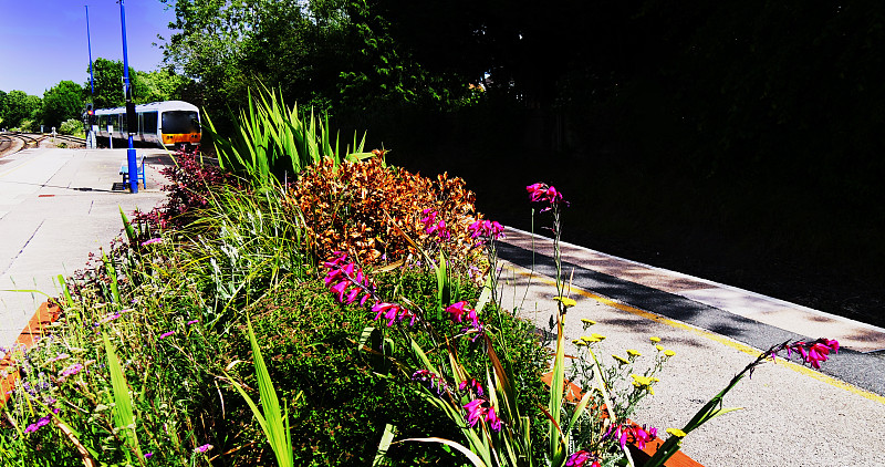 从深圳把华为手机寄到新加坡
